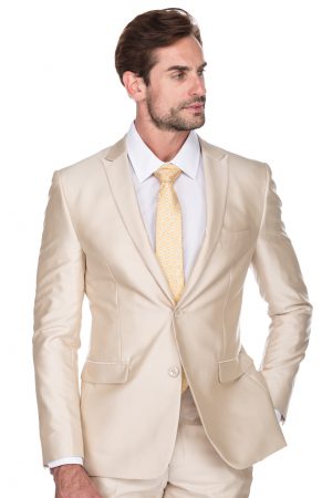 Aesido Mens Prom Tuxedos Fashion Double Breasted Suit Slim Fit 3 Piece Notch Lapel Wedding Groomsmen Blazer+Vest+Pants 